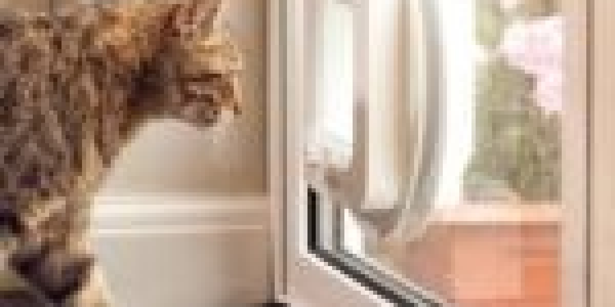 It's The Cat Door Installation Case Study You'll Never Forget