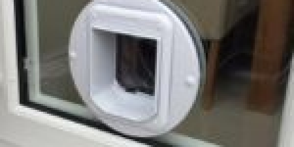 What To Focus On When Making Improvements To Cat Flap Installer Near Me