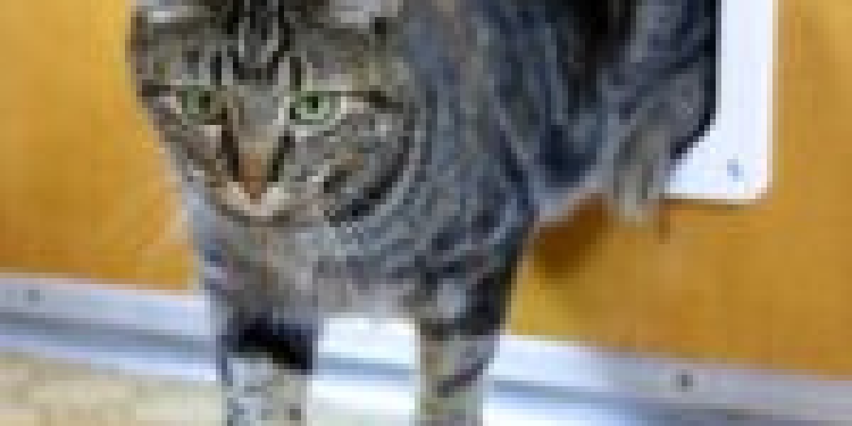 9 Things Your Parents Taught You About Quick Cat Flap Installation