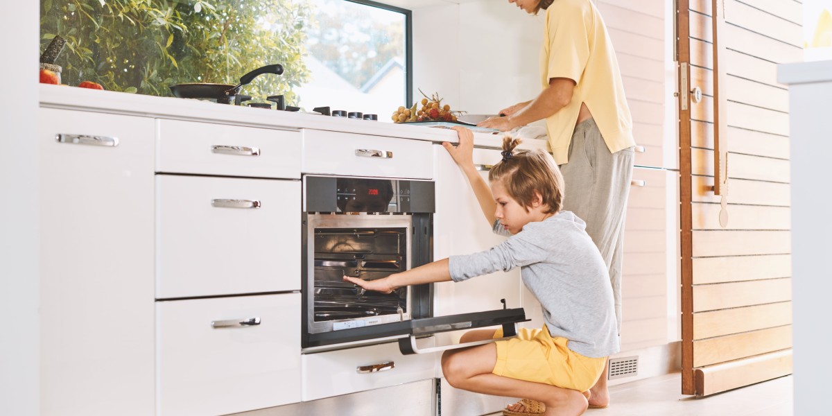 What's The Ugly The Truth About Electric Integrated Oven